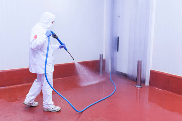 Best Dumpster Area Cleaning  in Hardeeville, SC